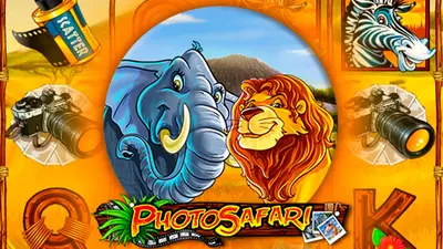 photo safari